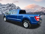 2022 F-150 Thumbnail 10
