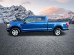 2022 F-150 Thumbnail 11