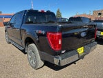 2022 F-150 Thumbnail 5