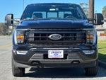 2023 F-150 Thumbnail 8