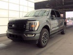 2023 F-150 Thumbnail 4