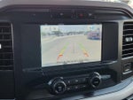 2023 F-150 Thumbnail 8
