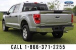 2023 F-150 Thumbnail 6