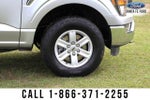 2023 F-150 Thumbnail 10