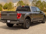 2023 F-150 Thumbnail 6