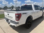 2023 F-150 Thumbnail 8