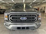 2023 F-150 Thumbnail 19