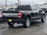 2023 F-150 Thumbnail 5