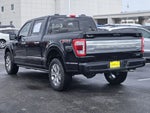 2023 F-150 Thumbnail 7