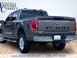 2023 F-150 Thumbnail 10