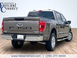 2023 F-150 Thumbnail 11