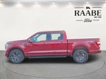 2023 F-150 Thumbnail 4