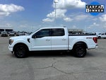 2023 F-150 Thumbnail 9