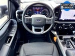 2023 F-150 Thumbnail 19