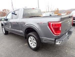 2023 F-150 Thumbnail 5