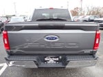 2023 F-150 Thumbnail 6