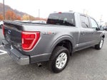 2023 F-150 Thumbnail 8