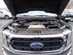 2023 F-150 Thumbnail 13