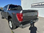 2023 F-150 Thumbnail 3