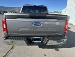 2023 F-150 Thumbnail 4