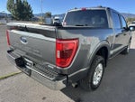 2023 F-150 Thumbnail 5