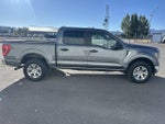 2023 F-150 Thumbnail 6