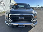 2023 F-150 Thumbnail 8