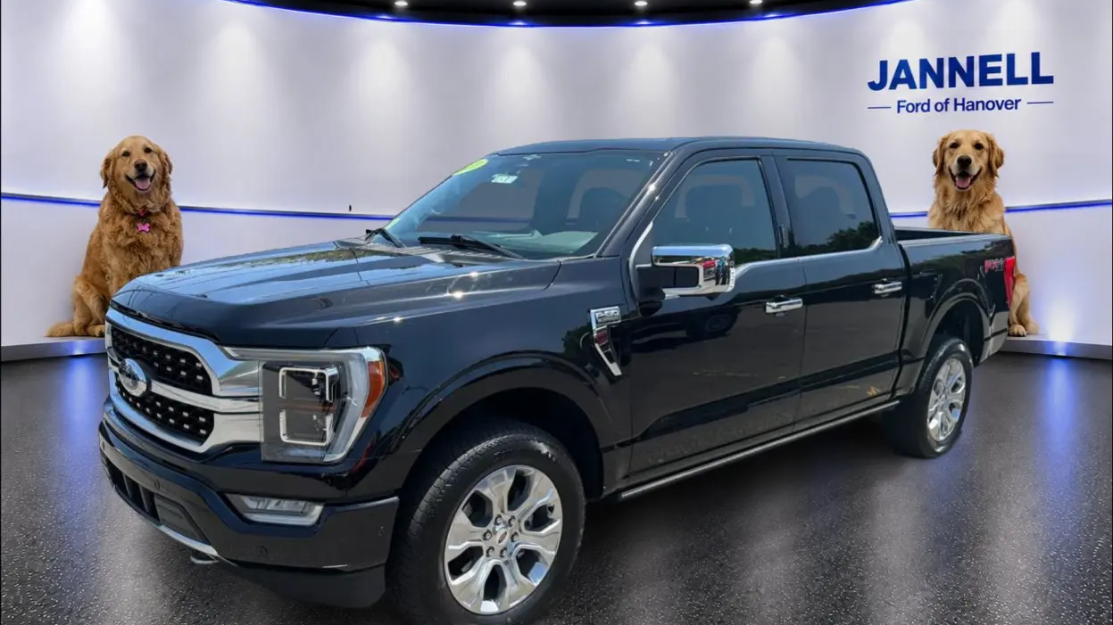 Preowned 2023 Ford F-150 Platinum for Sale