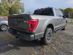 2023 F-150 Thumbnail 4