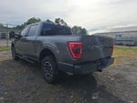 2023 F-150 Thumbnail 6