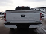 2023 F-150 Thumbnail 18