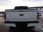 2023 F-150 Thumbnail 18