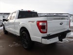 2023 F-150 Thumbnail 19