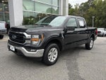 2023 F-150 Thumbnail 1