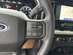 2023 F-150 Thumbnail 19