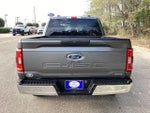 2023 F-150 Thumbnail 8