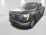 2023 F-150 Thumbnail 8