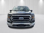2023 F-150 Thumbnail 12