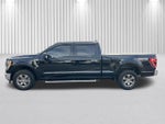 2023 F-150 Thumbnail 14
