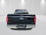 2023 F-150 Thumbnail 16
