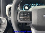 2023 F-150 Thumbnail 18