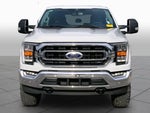 2023 F-150 Thumbnail 4