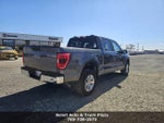 2023 F-150 Thumbnail 14