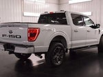 2023 F-150 Thumbnail 8