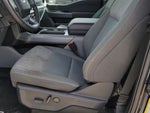 2023 F-150 Thumbnail 6