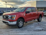 2023 F-150 Thumbnail 8