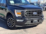 2023 F-150 Thumbnail 3