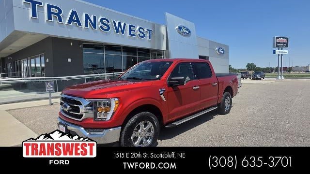 Preowned 2023 Ford F-150 King Ranch for Sale