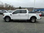 2023 F-150 Thumbnail 6