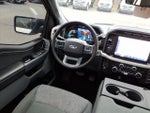 2023 F-150 Thumbnail 14